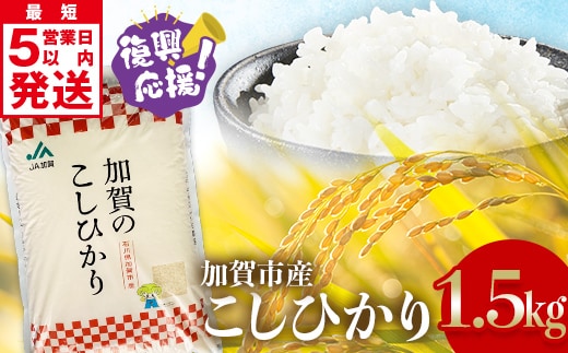 【順次発送】令和7年産 こしひかり 1.5kg 生活応援米 精米 銘柄米 お米 米 ギフト 贈り物 グルメ 食品 復興応援米 F6P-3218