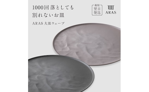 ARAS 大皿ウェーブ 2枚セット【カラー：グレー&ピンクグレー】27cm 大皿 プレート 割れない 保証付き ARAS エイラス 色が選べる 皿 食器 うつわ 贈り物 ギフト 3万円 30000円 F6P-2595