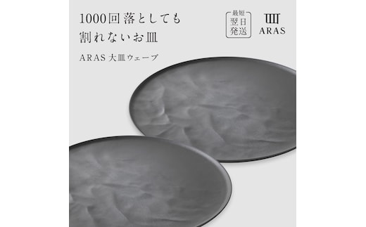 ARAS 大皿ウェーブ 2枚セット【カラー：グレー2枚】27cm 大皿 プレート 割れない 保証付き ARAS エイラス 色が選べる 皿 食器 うつわ 贈り物 ギフト 3万円 30000円 F6P-2600