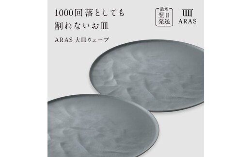 ARAS 大皿ウェーブ 2枚セット【カラー：グリーングレー2枚】27cm 大皿 プレート 割れない 保証付き ARAS エイラス 色が選べる 皿 食器 うつわ 贈り物 ギフト 3万円 30000円 F6P-2602