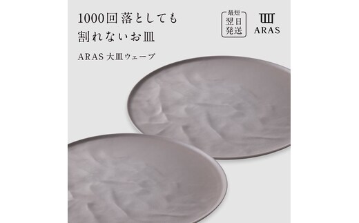 ARAS 大皿ウェーブ 2枚セット【カラー：ピンクグレー2枚】27cm 大皿 プレート 割れない 保証付き ARAS エイラス 色が選べる 皿 食器 うつわ 贈り物 ギフト 3万円 30000円 F6P-2603