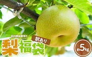 2026年予約 訳あり梨 梨福袋  5kg