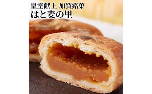 皇室献上 加賀銘菓 はと麦の里 お菓子 和菓子 焼菓子 チョコレート スイーツ 