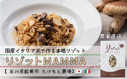 リゾットMAMMA 能登きのこ 4個セット お米 リゾット向け 米 