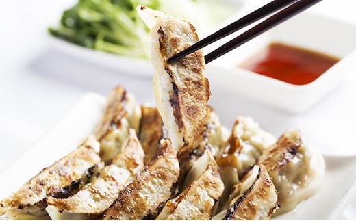 皮に加賀丸いもを練りこんだ美味蔵餃子12ヶ×10箱 120ヶ入り 肉の加工品 ぎょうざ 