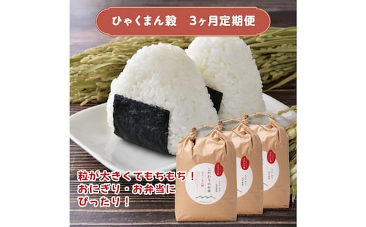 【定期便3回】北本農場のお米石川県のオリジナル米 白米10kg ひゃくまん穀