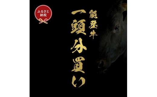 肉 【和牛セレブ】能登牛 一頭買い（12分割配送）2個口 黒毛和牛 霜降り ギフト 石川県 能美市