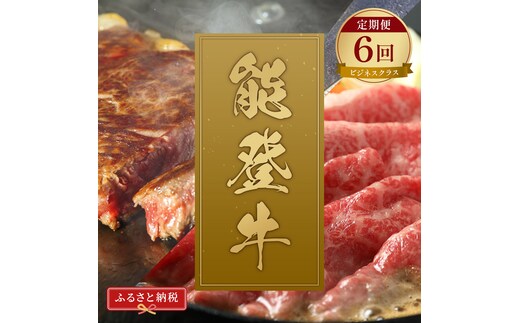 肉【和牛セレブ】能登牛 定期便「ビジネスクラス」全6回 特選 しゃぶしゃぶ すき焼き 焼肉 ステーキ ギフト 石川県 能美市