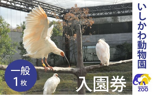 チケット いしかわ動物園入園券（一般）石川県 能美市