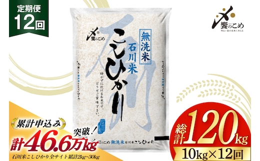 米 定期便 無洗米 石川米 こしひかり 10kg ( 5kg 2袋) 12回 総計120kg 令和8年産 新米 [中橋商事株式会社 石川県 宝達志水町 38601400] お米 白米 ごはん 美味しい コシヒカリ おこめ こめ 10kg 60kg 石川 能登 むせんまい