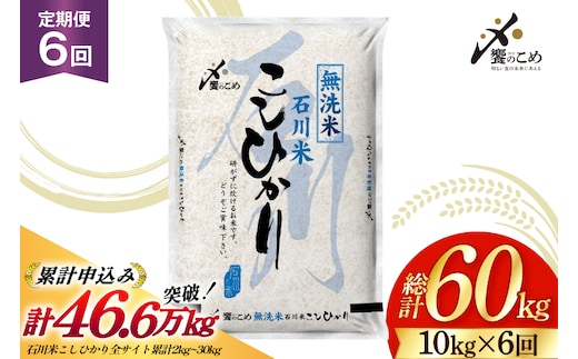 米 定期便 無洗米 石川米 こしひかり 10kg ( 5kg 2袋) 6回 総計60kg 令和8年産 新米 [中橋商事株式会社 石川県 宝達志水町 38601401] お米 白米 ごはん 美味しい コシヒカリ おこめ こめ 10kg 60kg 石川 能登 むせんまい