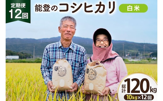 【期間限定発送】 米 定期便 コシヒカリ 白米 10kg 12回 総計 120kg [農家にしの 石川県 宝達志水町 38601410] こしひかり お米 おこめ こめ コメ 精米 ごはん ご飯 令和8年産 新米