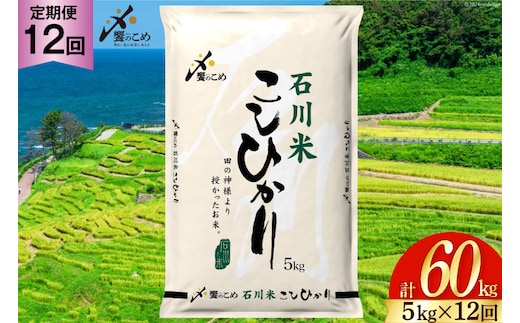 米 定期便 石川米 こしひかり【穂立】5kg×12回 総計60kg [中橋商事 石川県 宝達志水町 38600814]コシヒカリ お米 コメ 12ヶ月 白米 精米 おこめ こめ