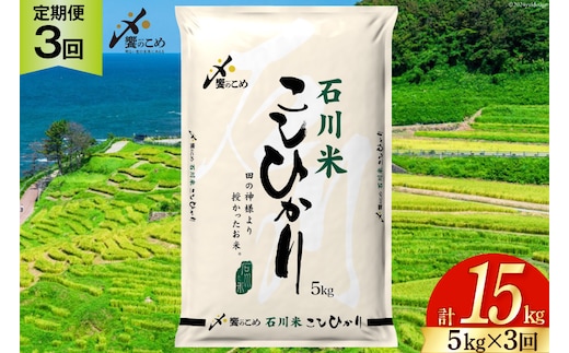 米 定期便 石川米こしひかり【穂立】5kg×3回 総計15kg [中橋商事 石川県 宝達志水町 38601207] コシヒカリ お米 コメ 3ヶ月 白米 精米 おこめ こめ 能登 5kg 5キロ