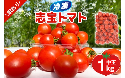 訳あり 野菜 トマト 冷凍志宝トマト（シンディスイート）中玉 1kg [モアショップヤマモト 石川県 宝達志水町 38601219] とまと 中玉 不揃い 規格外 1キロ わけあり 訳アリ 家庭用 やさい tomato