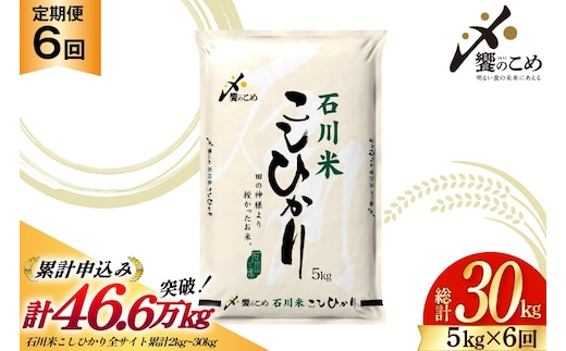 米 定期便 石川米 こしひかり 5kg 6回 計 30kg [中橋商事 石川県 宝達志水町 38601131] コシヒカリ お米 こめ おこめ ごはん ご飯 6ヶ月 ６ヶ月 6か月 ６か月 5キロ ５キロ 30キロ ３０キロ 白米 精米 石川 石川県産