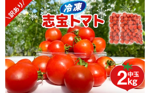 訳あり 野菜 トマト 冷凍志宝トマト（シンディスイート）中玉 2kg [モアショップヤマモト 石川県 宝達志水町 38601220] とまと 中玉 不揃い 規格外 2キロ わけあり 訳アリ 家庭用 やさい tomato
