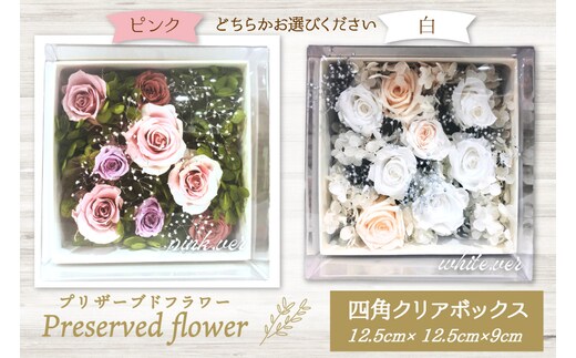 花 プリザーブドフラワー 四角クリアボックス [littleprincess 石川県 宝達志水町 38601236] お花 プリザーブド フラワー ギフト インテリア 観賞用 小物 お花 花束 長期保存