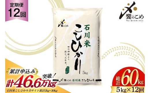 米 定期便 石川米 こしひかり 5kg 12回 計 60kg [中橋商事 石川県 宝達志水町 38600814] コシヒカリ お米 こめ おこめ ごはん ご飯 12ヶ月 １２ヶ月 12か月 １２か月 5キロ ５キロ 60キロ ６０キロ 白米 精米 石川