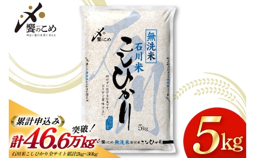 米 令和7年 無洗米 こしひかり 精米 5kg [中橋商事 石川県 宝達志水町 38601204] お米 こめ コメ 令和7年産 コシヒカリ 白米 ごはん ご飯 5キロ 時短 むせんまい 能登 石川