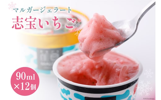 マルガージェラート12個セット（志宝いちご12個） [モアショップヤマモト（アイス） 石川県 宝達志水町 38600457]