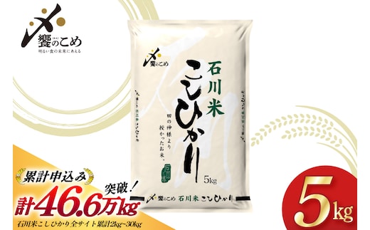 米 令和7年 石川米 こしひかり 精米 5kg [中橋商事 石川県 宝達志水町 38601197] お米 こめ コメ 令和7年産 コシヒカリ 白米 ごはん ご飯 5キロ 能登 石川