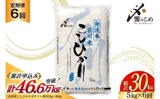 米 定期便 無洗米 石川米 こしひかり 5kg 6回 計 30kg [中橋商事 石川県 宝達志水町 38601337] コシヒカリ お米 こめ おこめ ごはん ご飯 6ヶ月 ６ヶ月 6か月 ６か月 5キロ ５キロ 30キロ ３０キロ 白米 精米 石川