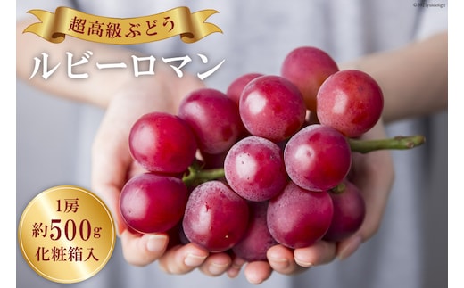 【期間限定発送】 超高級 ぶどう ルビーロマン 1房 約500g 化粧箱入 [モアショップヤマモト 石川県 宝達志水町 38601385] ブドウ 葡萄 ギフト 贈答用 贈答 果物 くだもの フルーツ 贈答品 美味しい 甘い 大粒 石川