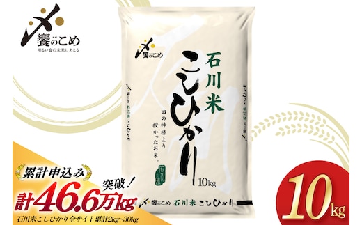 米 令和7年 石川米 こしひかり 精米 10kg [中橋商事 石川県 宝達志水町 38601198] お米 こめ コメ 令和7年産 コシヒカリ 白米 ごはん ご飯 10キロ 能登 石川