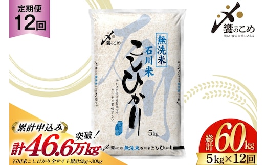 米 定期便 無洗米 石川米 こしひかり 5kg 12回 計 60kg [中橋商事 石川県 宝達志水町 38601338] コシヒカリ お米 こめ おこめ ごはん ご飯 12ヶ月 １２ヶ月 12か月 １２か月 5キロ ５キロ 60キロ ６０キロ 白米 精米