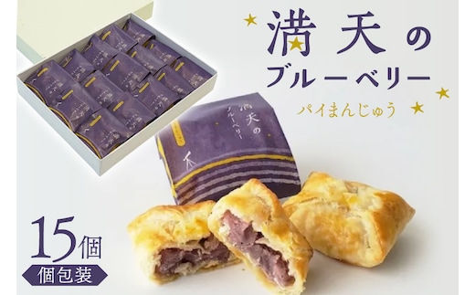 お菓子 個包装 満天のブルーベリー 15個入 [谷口製菓 石川県 宝達志水町 38601294] 菓子 焼菓子 菓子折り 和菓子 パイ スイーツ おかし おやつ 常温 ブルーベリー