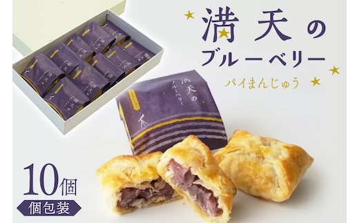 お菓子 個包装 満天のブルーベリー 10個入 [谷口製菓 石川県 宝達志水町 38601295] 菓子 焼菓子 菓子折り 和菓子 パイ スイーツ おかし おやつ 常温 ブルーベリー