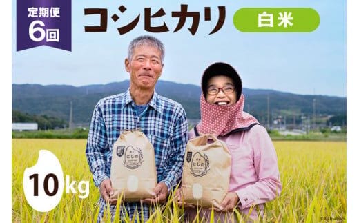 【期間限定発送】 米 定期便 コシヒカリ 白米 10kg 6回 総計 60kg [農家にしの 石川県 宝達志水町 38601174] こしひかり お米 おこめ こめ コメ 精米 ごはん ご飯 令和8年産 新米