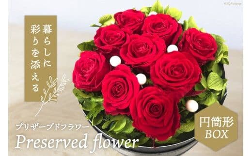 プリザーブドフラワー 円筒形BOX 花 ギフト プレゼント 贈答 母の日 / littleprincess 吉井圭香 / 石川県 宝達志水町