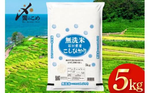 米 令和7年 無洗米 こしひかり 精米 5kg [中橋商事 石川県 宝達志水町 38601204] お米 白米 ごはん 美味しい コシヒカリ おこめ こめ 5キロ 石川 能登 むせんまい