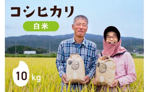【期間限定発送】 米 令和8年 コシヒカリ 10kg 白米 [農家にしの 石川県 宝達志水町 38601172] こしひかり お米 おこめ こめ コメ 精米 ごはん ご飯 令和8年産 新米