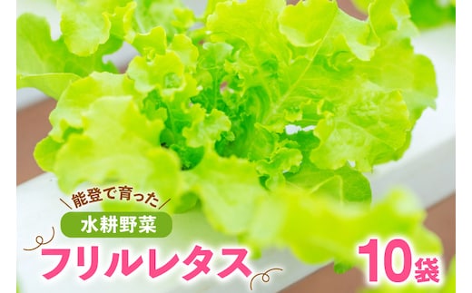 フリルレタス 10袋 セット [バイテックベジタブルファクトリー 石川県 中能登町 27ap0001] 野菜 レタス 葉物 葉物野菜 水耕栽培