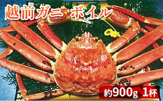 越前ガニ ボイル 約900g ズワイガニ かに 海鮮 海産物 海の幸 魚介 魚介類 越前かに 越前カニ 越前がに ずわいがに ずわい蟹 カニ 蟹 ボイルガニ 冷蔵 冷蔵配送 福井県 福井 若狭町 若狭