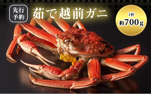 期間限定 茹で 越前ガニ 約700g以上 1杯 茹でガニ 越前カニ 越前蟹 ズワイガニ ずわい蟹 カニ かに 蟹 ボイルカニ ボイル蟹 ポーション 魚介 魚介類 海鮮 限定 福井 福井県 若狭町
