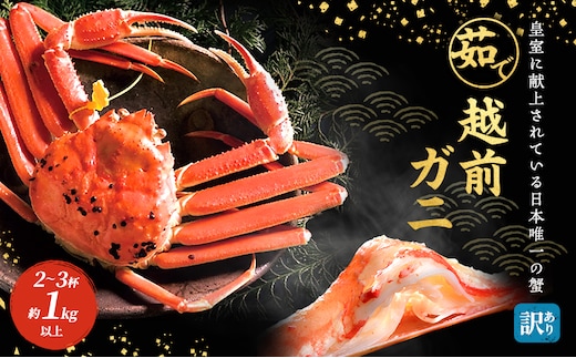 訳あり 期間限定 茹で 越前ガニ 約1kg以上 2～3杯 食通もうなる本場の味をご堪能ください 脚折れ ズワイガニ 海鮮 福井県 若狭町