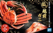 かに 訳あり 期間限定 茹で 越前ガニ 約1kg以上2～3杯 ボイルカニ ボイル 魚介 魚介類