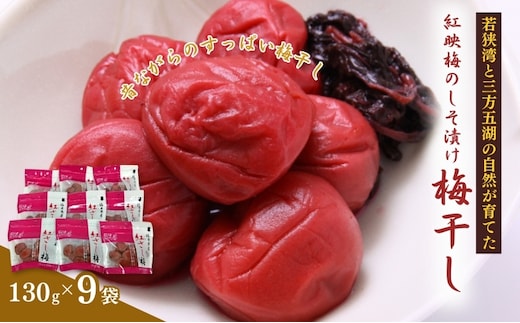 紅映梅のしそ漬け 梅干し 9袋（すっぱい 甘くない 梅干し） 
