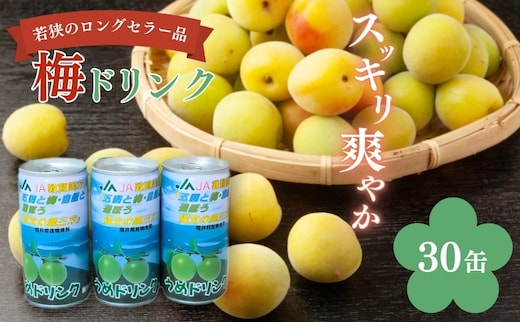 梅ドリンク 1ケース30缶 加工食品 ジュース うめ ウメ 