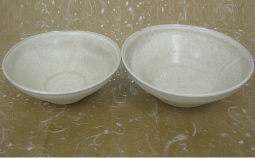 森と器シリーズ 深皿2枚セット 食器 陶磁器 