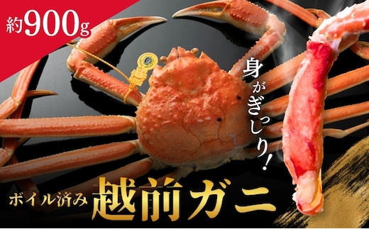 越前ガニ ボイル 約900g 高島屋 選定品 ズワイガニ かに 海鮮 海産物 海の幸 魚介 魚介類 越前かに 越前カニ 越前がに ずわいがに ずわい蟹 カニ 蟹 ボイルガニ 冷蔵 冷蔵配送 福井県 福井 若狭町 若狭