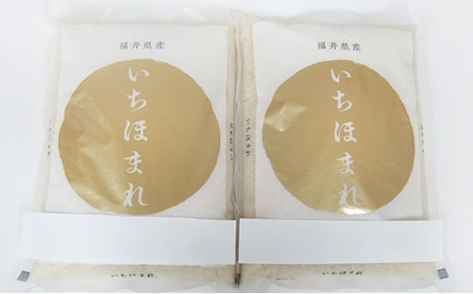 いちほまれ4キロ（令和7年産）福井の高級ブランド米 お米 b1102