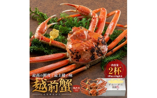 期間限定 茹で 越前ガニ 約1kg以上 2杯 食通もうなる本場の味をぜひご堪能ください 茹でガニ ズワイガニ カニ 蟹 海鮮 福井県 若狭町