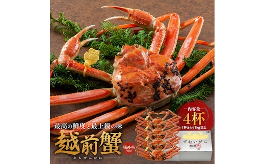 期間限定 茹で 越前ガニ 1kg以上 4杯 食通もうなる本場の味をぜひご堪能ください 茹でガニ ズワイガニ カニ 蟹 海鮮 福井県 若狭町