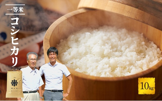 R7年産 米 コシヒカリ 10kg 産地直送 一等米 特A 特A米 お米 白米 精米 新米 ご飯 10キロ おこめ こめ コメ ごはん こしひかり 福井県 福井 若狭町 若狭 送料無料
