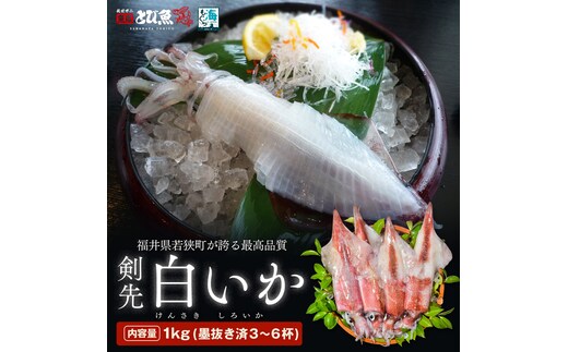 期間限定 剣先イカ 3～6杯 セット 詰め合わせ スミ抜き 冷凍 白イカ イカ 烏賊 いか 魚介 魚介類 海鮮 海鮮セット 限定 福井 福井県 若狭町